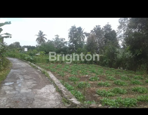 image TANAH DI DAERAH CIAPUS BOGOR, SUASANA ASRI DAN NYAMAN (2)
