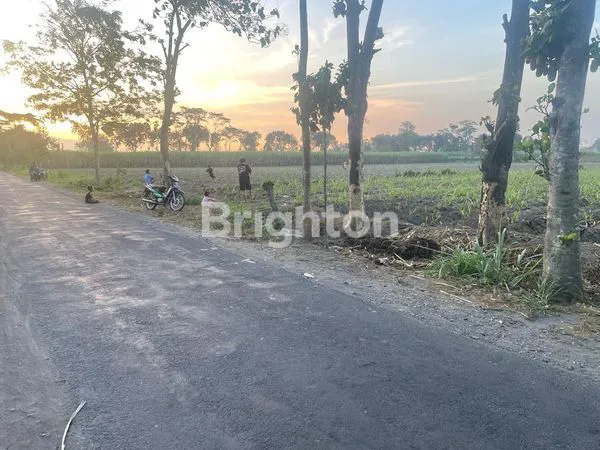 image TANAH MURAH DI WATES (3)