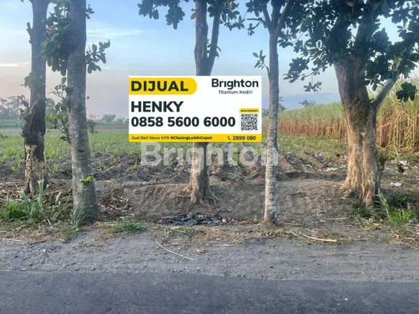 image TANAH MURAH DI WATES (1)