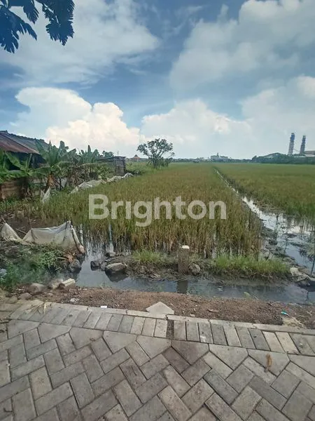 Gambar Property DIJUAL TANAH SAWAH,LOKASI STRATEGIS