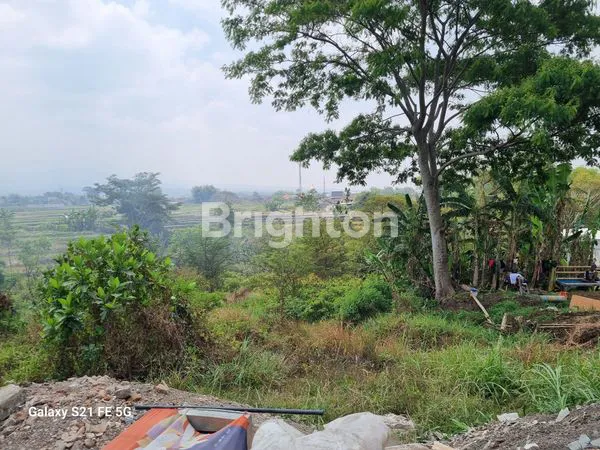 image INVESTASI TANAH PREMIUM 2500M² DAN SUDAH DI URUG SIAP PAKAI DI  MALANG (2)