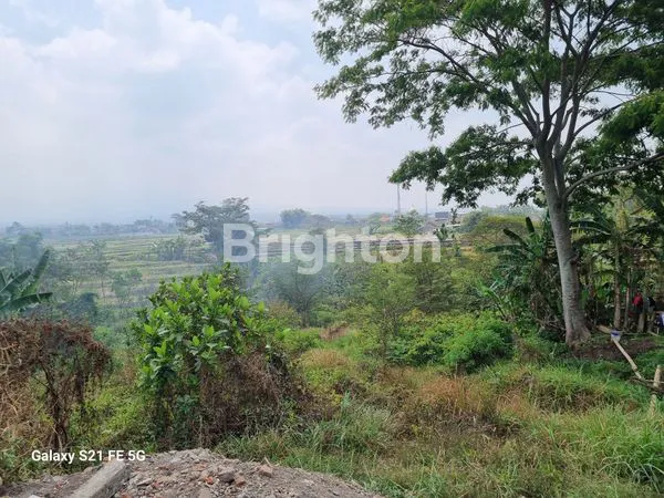 image INVESTASI TANAH PREMIUM 2500M² DAN SUDAH DI URUG SIAP PAKAI DI  MALANG (4)