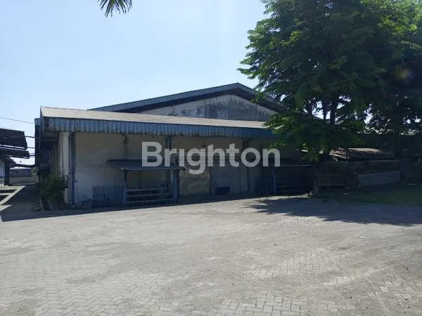 Gambar Property GUDANG TAMBAK SAWAH DEKAT JUANDA DAN TOL