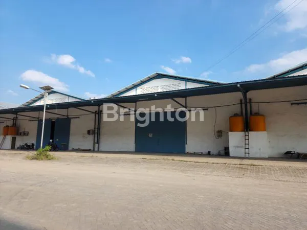 image GUDANG BUMI MASPION SIAP HUNI (2)