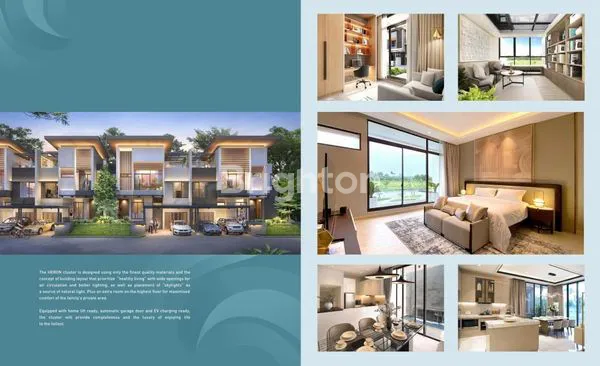 image CLUSTER HERON THE SPRING (2)