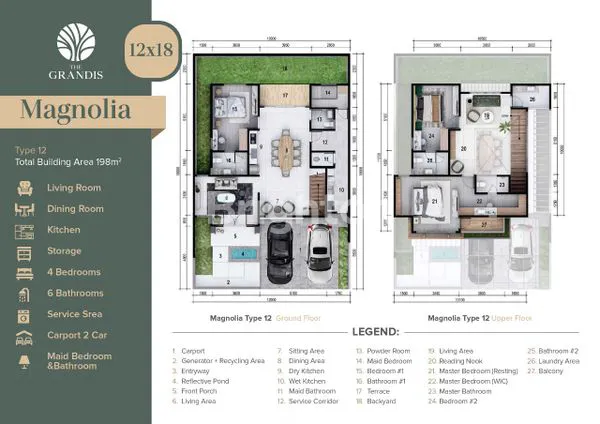 image THE GRANDIS BY ROYAL TIPE MAGNOLIA  (3)