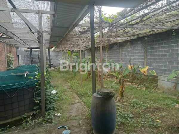 image 450 JT NEGO, TANAH SIAP BANGUN, NOL JALAN FULL PAGAR TEMBOK, DS. SUMENGKO KAB. GRESIK (8)