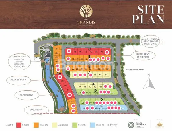 image THE GRANDSIS BY ROYAL SUMATRATYPE MAGNOLIA (3)