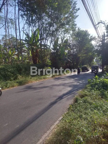 image TANAH TLOGOWARU (4)