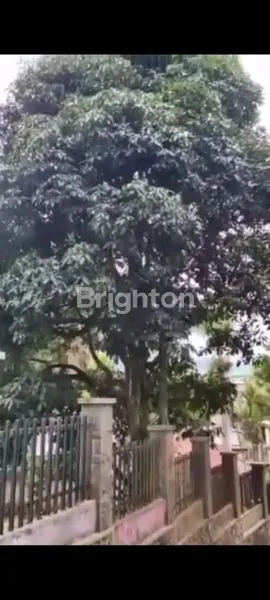 image TANAH STATEGIS DEKAT RESTO DAMAR LANGIT CISARUA,  BUTUH DIJUAL CEPAT\U203C\UFE0F (2)