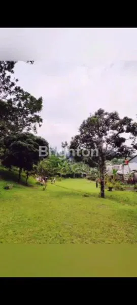 image TANAH STATEGIS DEKAT RESTO DAMAR LANGIT CISARUA,  BUTUH DIJUAL CEPAT\U203C\UFE0F (5)