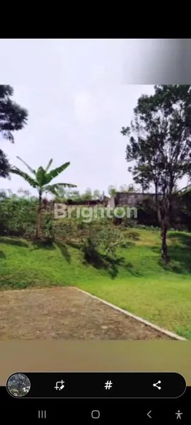 image TANAH STATEGIS DEKAT RESTO DAMAR LANGIT CISARUA,  BUTUH DIJUAL CEPAT\U203C\UFE0F (6)