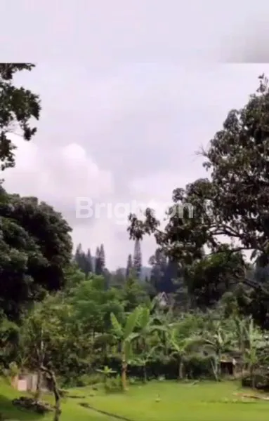 image TANAH STATEGIS DEKAT RESTO DAMAR LANGIT CISARUA,  BUTUH DIJUAL CEPAT\U203C\UFE0F (8)