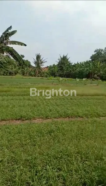 image TANAH DARAT SIAP BANGUN LUAS 6.365M2 DI PAKU HAJI TANGERANG  (1)