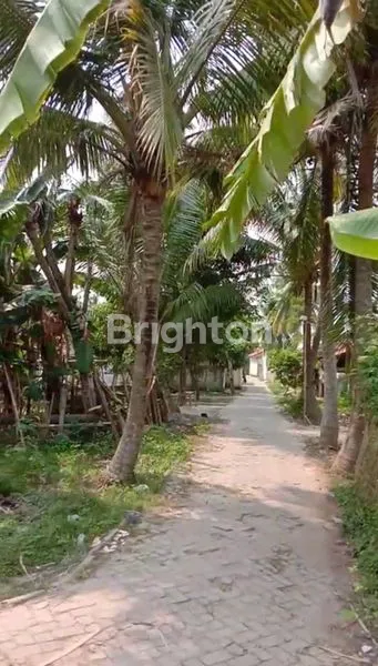 image TANAH DARAT SIAP BANGUN LUAS 6.365M2 DI PAKU HAJI TANGERANG  (3)