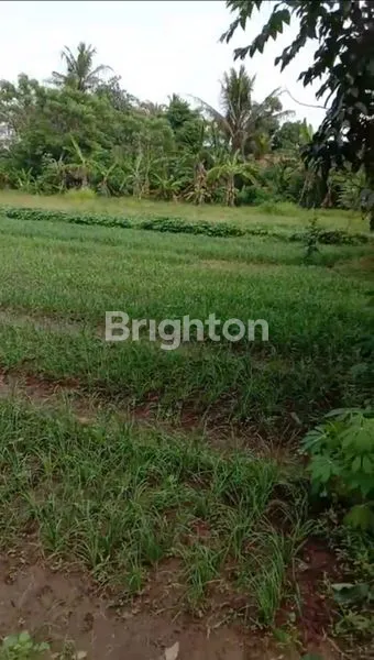 image TANAH DARAT SIAP BANGUN LUAS 6.365M2 DI PAKU HAJI TANGERANG  (4)