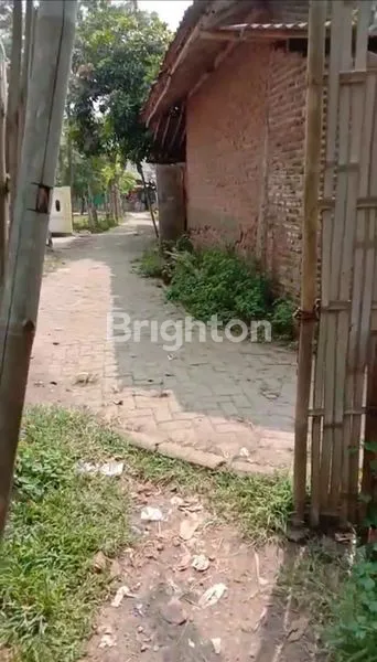 image TANAH DARAT SIAP BANGUN LUAS 6.365M2 DI PAKU HAJI TANGERANG  (5)