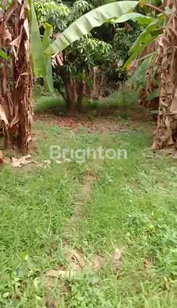 image TANAH DARAT SIAP BANGUN LUAS 6.365M2 DI PAKU HAJI TANGERANG  (6)