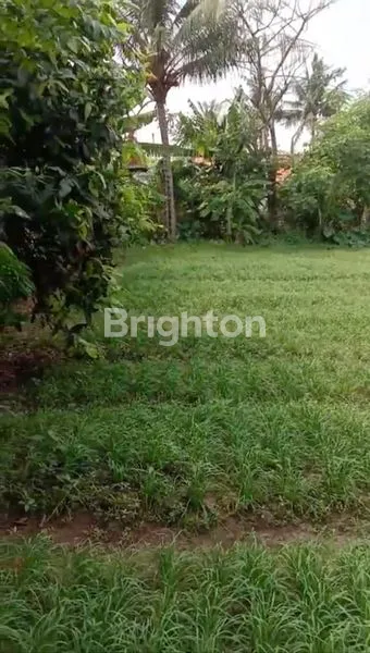 image TANAH DARAT SIAP BANGUN LUAS 6.365M2 DI PAKU HAJI TANGERANG  (8)