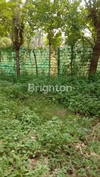 image TANAH DARAT SIAP BANGUN LUAS 6.365M2 DI PAKU HAJI TANGERANG  (7)