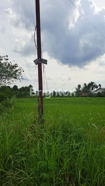 image TANAH MARENDAL TANJUNG MORAWA  (3)