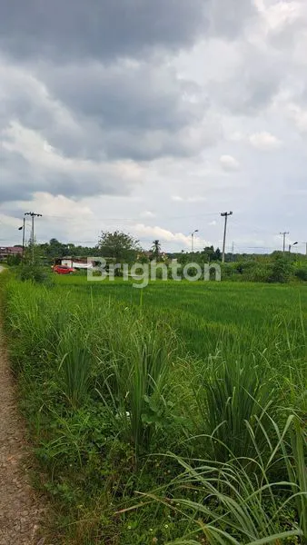 image TANAH MARENDAL TANJUNG MORAWA  (5)