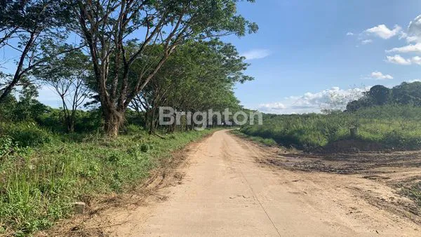 image TANAH DI SAMBUTAN COCOK UNTUK PERUMAHAN  (4)