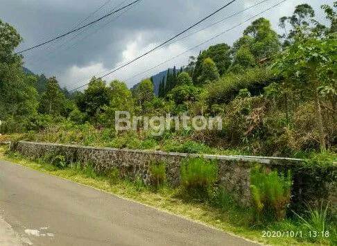 TANAH KAVLING GN. PUNTANG VIEW ALAM HARGA MURAH DAN ISTIMEWA