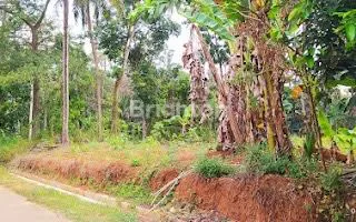 image TANAH SIAP BANGUN DI SINANGGUL SEKACER JEPARA (3)