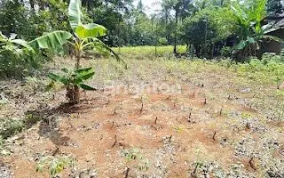 image TANAH SIAP BANGUN DI SINANGGUL SEKACER JEPARA (6)