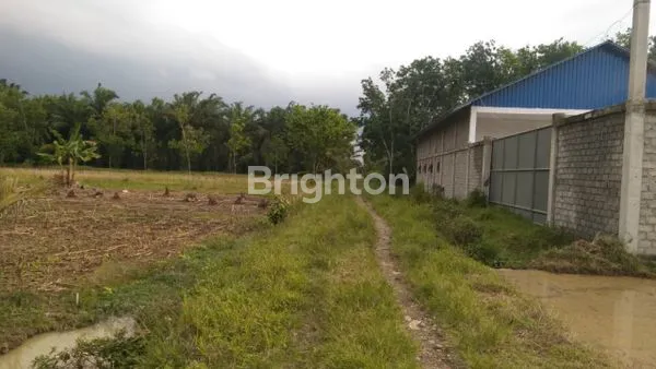 image SEBIDANG  TANAH  BEKAS  PADANG  JAMBU  LETAK  STRATEGIS (5)