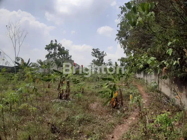 image TANAH STRATEGIS DI JL KOL ARDIANSYAH SUKAJAYA (3)