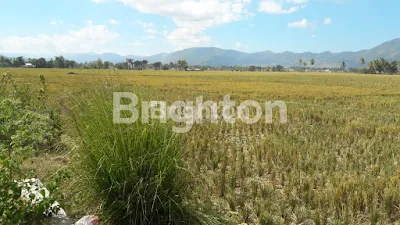 image TANAH SANGAT LUAS 1-3 HA, GORONTALO SULAWESI UTARA (2)