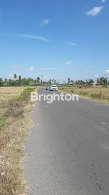 image TANAH SANGAT LUAS 1-3 HA, GORONTALO SULAWESI UTARA (4)