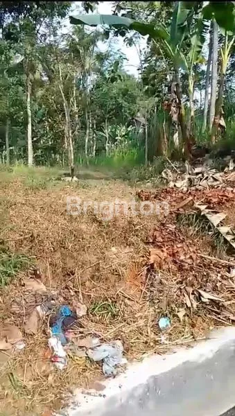 image TANAH LUAS, DATAR DAN STRATEGIS DI JL. LINGKAR SALATIGA (4)