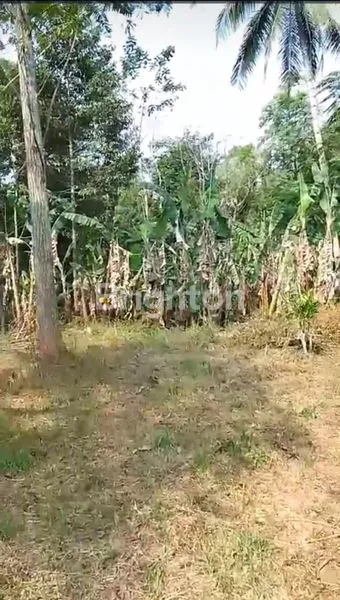 image TANAH LUAS, DATAR DAN STRATEGIS DI JL. LINGKAR SALATIGA (2)