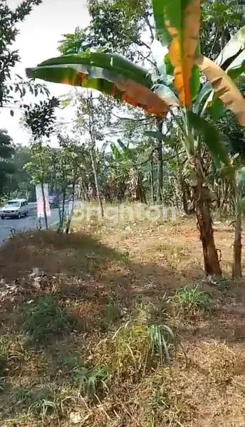 image TANAH LUAS, DATAR DAN STRATEGIS DI JL. LINGKAR SALATIGA (1)