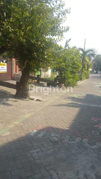 image RUMAH KLASIK DENGAN 2 PINTU DEPAN DAN BELAKANG DI KUTISARI SURABAYA (8)