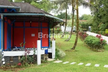 image VILLA DAN KEBUN CENGKEH  (2)