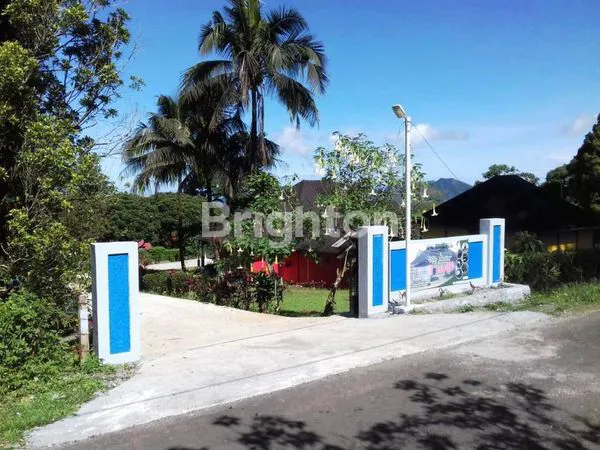 image VILLA DAN KEBUN CENGKEH  (6)