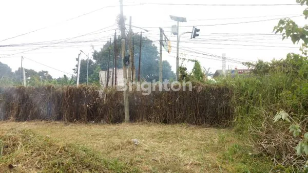 image LAHAN DI JALAN PROPINSI JAKARTA BOGOR (4)