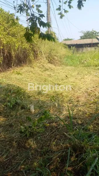 image LAHAN DI JALAN PROPINSI JAKARTA BOGOR (6)