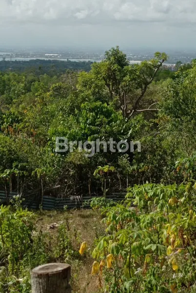 image TANAH JIMBARAN BALI OCEAN VIEW (1)