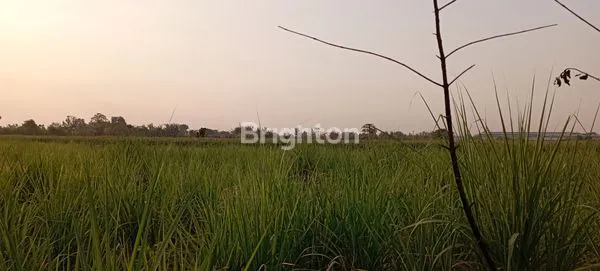 image DIJUAL TANAH DI MOJOKERTO (1)