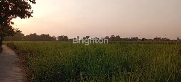 image DIJUAL TANAH DI MOJOKERTO (3)