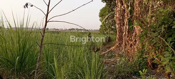 image DIJUAL TANAH DI MOJOKERTO (5)