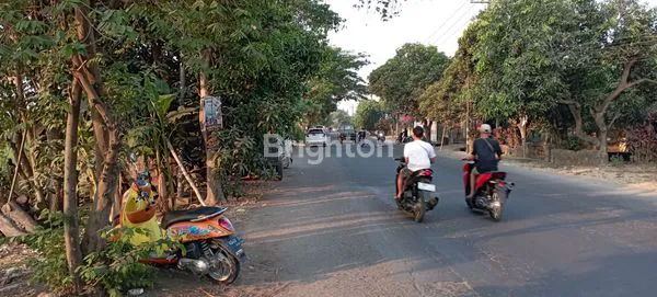 image DIJUAL TANAH DI MOJOKERTO (4)