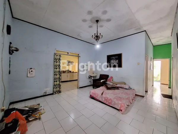 image PERMATA HIJAU (3)