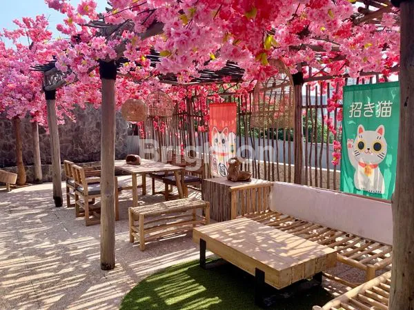 image RUKO MEWAH SIAP HUNI LOKASI STRATEGIS BINTARO SEKTOR 9 TANGERANG SELATAN (5)