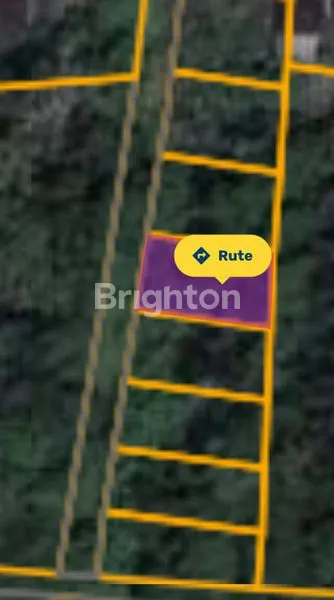 TANAH CARANGSARI PETANG 200M2 BADUNG